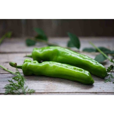 Piments Doux Bio 1KG