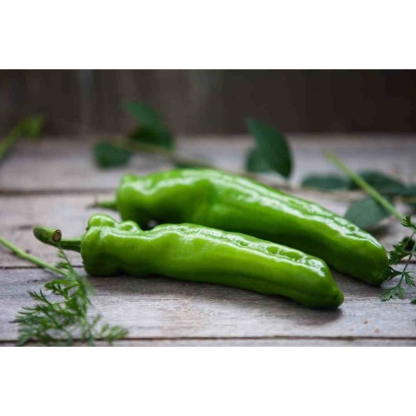 Piments Doux Bio 1KG