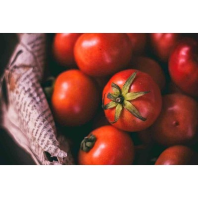 Tomates Bio 1KG