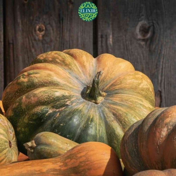 Citrouille Bio 1KG