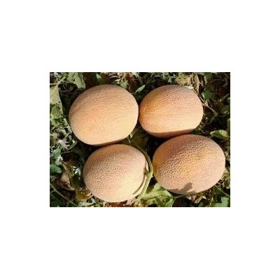 Melon BIO 1KG
