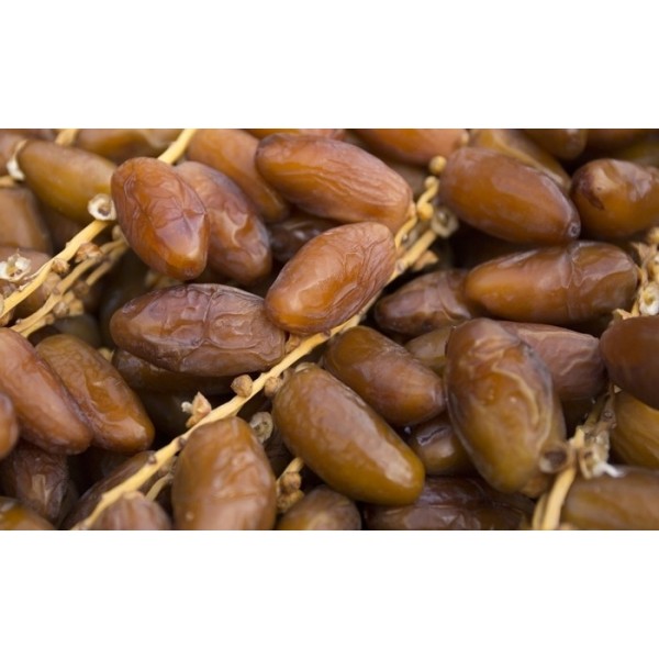 Dattes BIO Deglet Nour