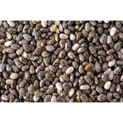 Graines de chia bio 100gr