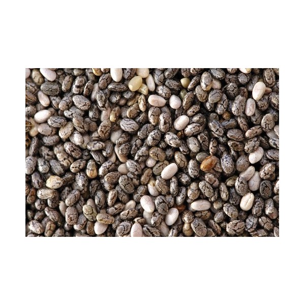 Graines de chia bio 100gr