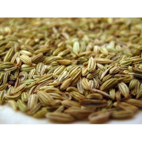 Graines de fenouil bio 100gr