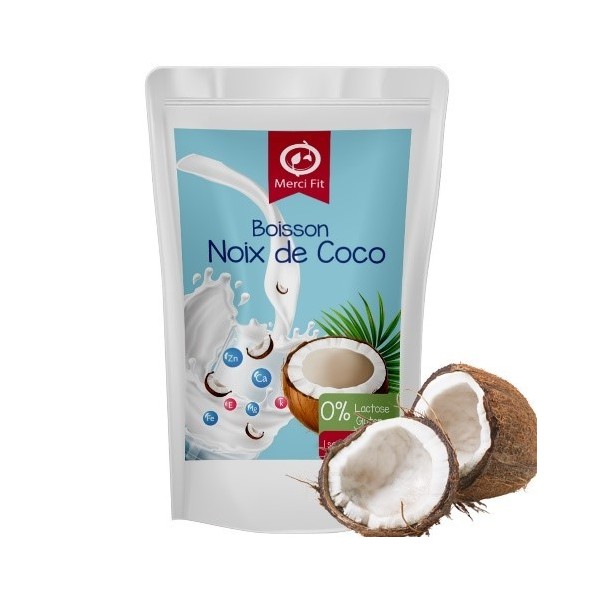Lait de coco en poudre BIO 120g