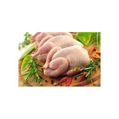 Caille 5 pieces