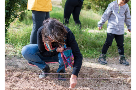 Dans les coulisses du Domaine : récolte, potager et vie à la ferme