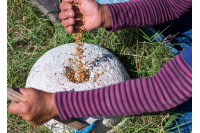 Pourquoi manger de saison ?