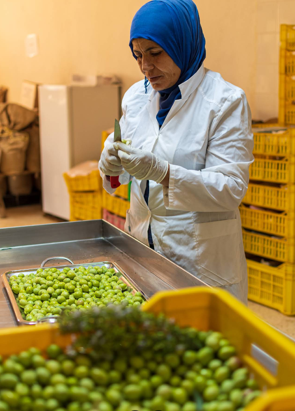 Mise en bocal des olives fraîches