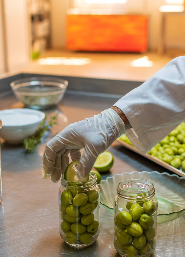 Cueillette manuelle des olives